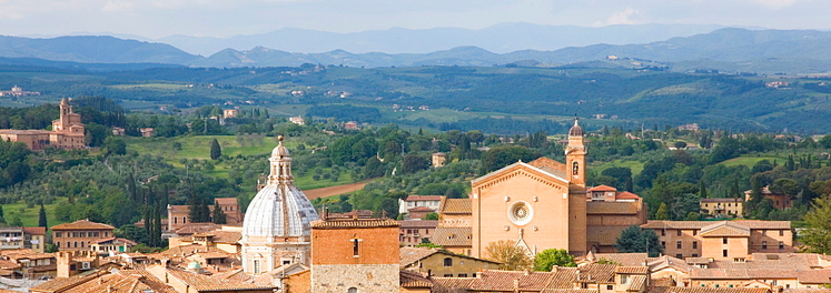 Siena gotický skvost a souboj s Florencií - Bazilika San Francesco - Itálie - cestování - dovolená v itálii - panda1709